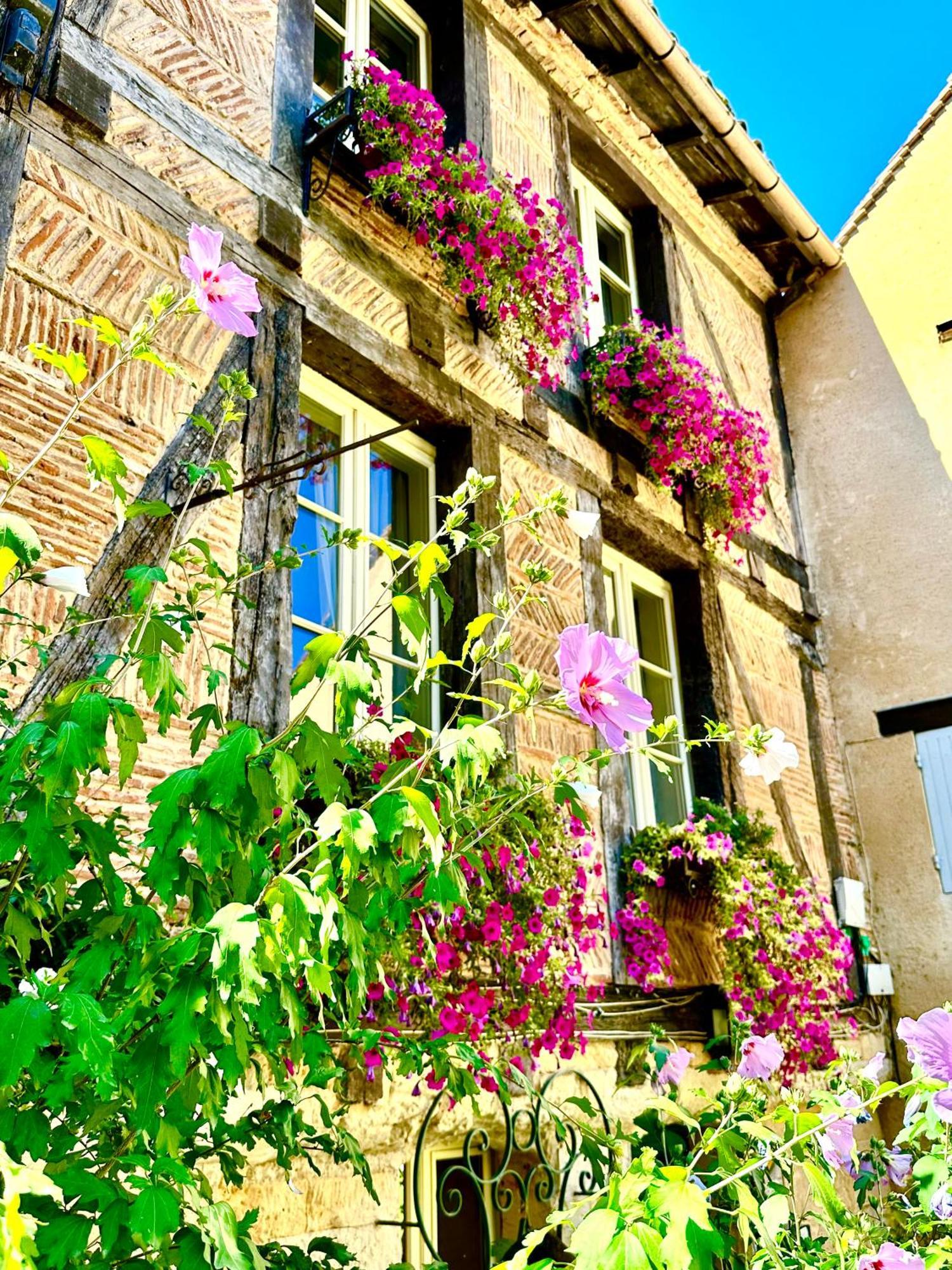 Le Logis Plantagenet Bed & Breakfast Bergerac Bagian luar foto